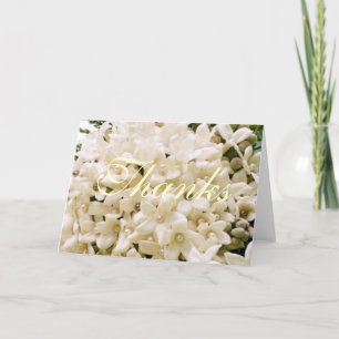 White Stephanotis Floral Thank You Notes
