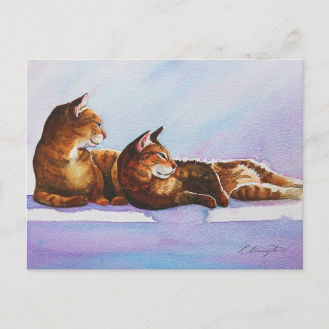 White Steps Tabbies Postcard (Front)