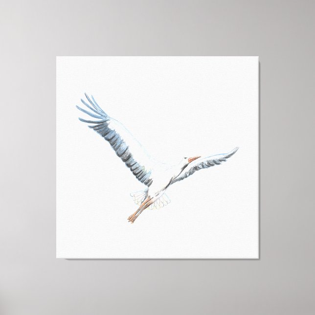 White stork flying  canvas print (Front)
