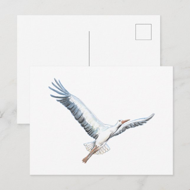 White stork flying     invitation postcard (Front/Back)