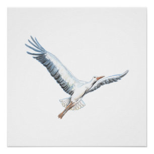 White stork flying   poster