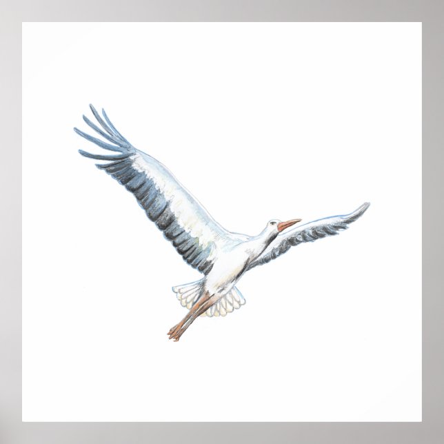 White stork flying poster (Front)