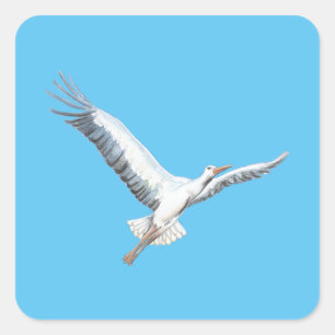 White stork flying   square sticker