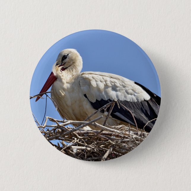 White stork in its nest 6 cm round badge (Front)