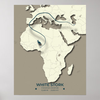 White Stork Migration Map – Minimalist Vintage Bir Poster