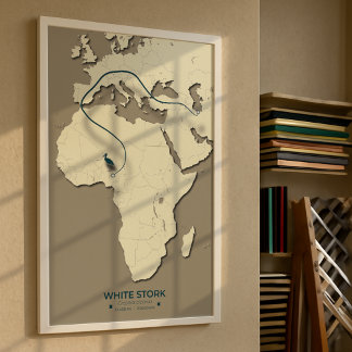 White Stork Migration Map – Minimalist Vintage Poster
