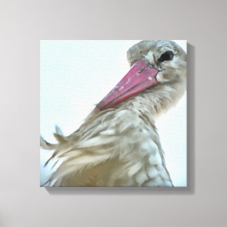 White Stork With Incredulous Expression Animal Art Canvas Print