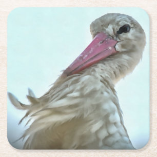 White Stork With Incredulous Expression Animal Art Square Paper Coaster