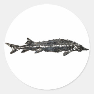 White Sturgeon Gyotaku-40-Item Classic Round Sticker