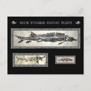 White Sturgeon Gyotaku Collage Card