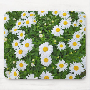 White Summer Daisy Garden Mouse Mat