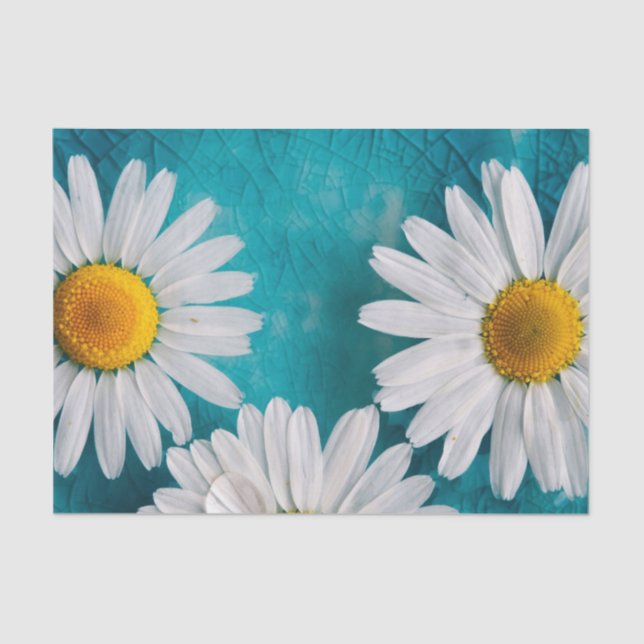 White Sunflowers on Turquoise Tissue Paper (Front)