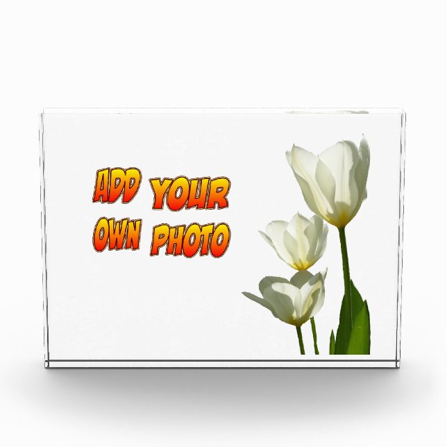 White Sunny Tulips Photo Block (Front)