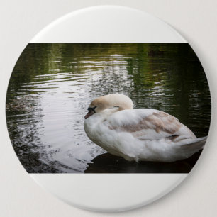 White swan 6 cm round badge