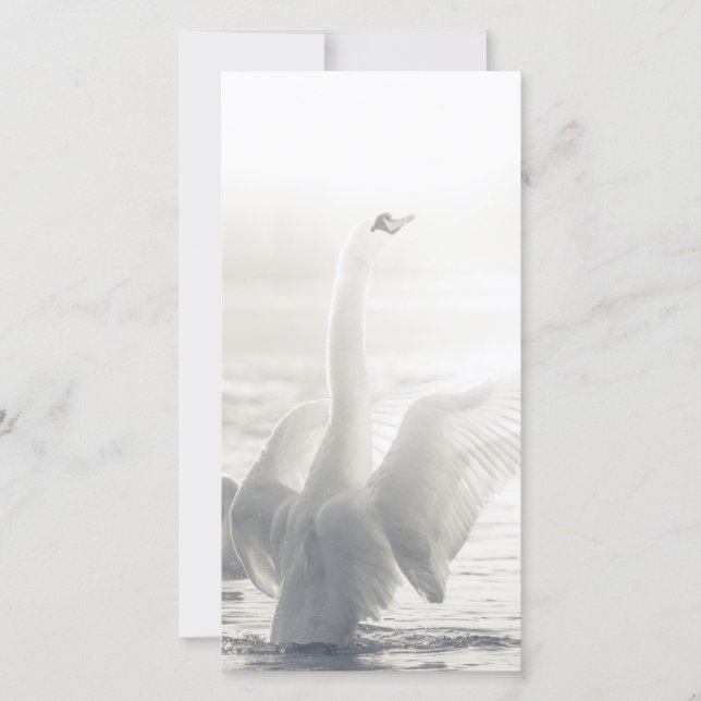White Swan Card (Front)