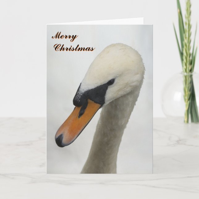 White Swan Christmas Card (Front)