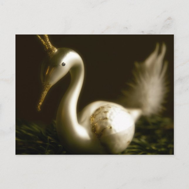 White Swan • Christmas Postcard (Front)