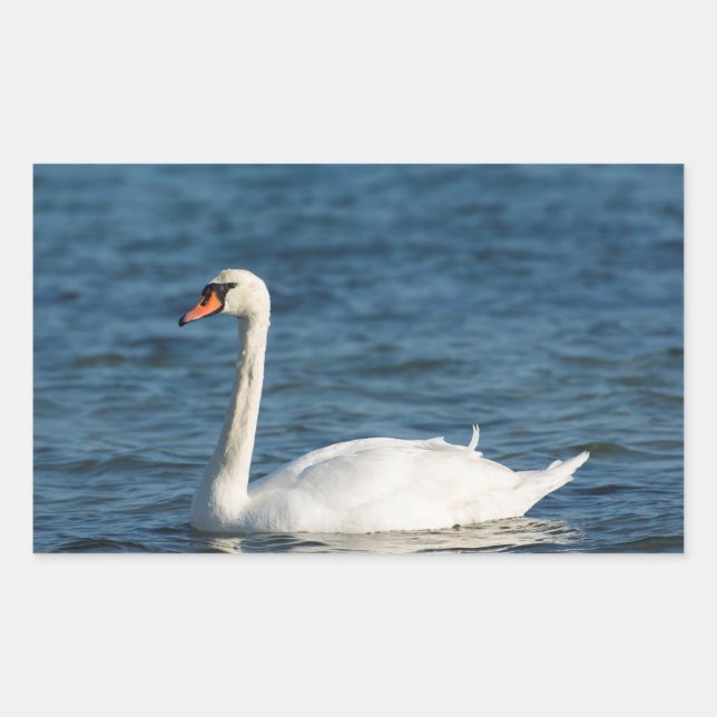 White swan Cygnus Rectangular Sticker (Front)