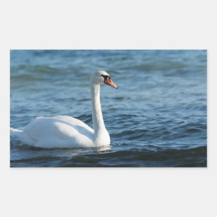 White swan Cygnus Rectangular Sticker