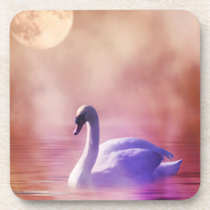 White Swan floating on a misty lake Coaster