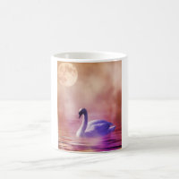 White Swan floating on a misty lake