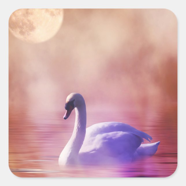 White Swan floating on a misty lake Square Sticker (Front)