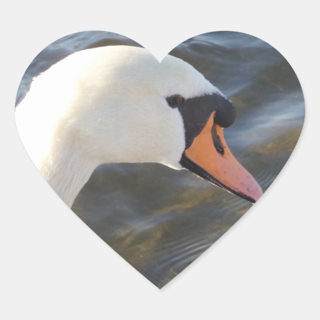 White Swan Heart Sticker (Front)