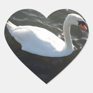 White Swan Heart Sticker