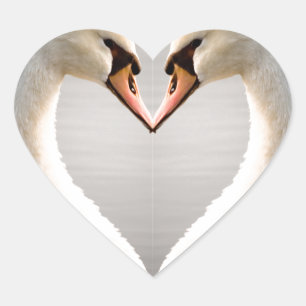 White Swan Heart Sticker