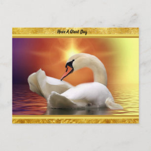 White Swan in a lake with a orange gold sunset Postcard
