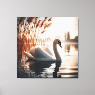 White Swan In A Pond Canvas Print