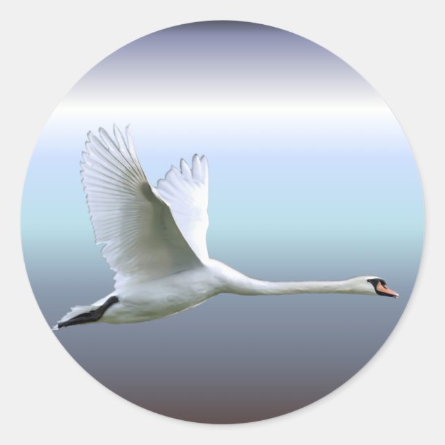White Swan in Full Flight Classic Round Sticker (Front)