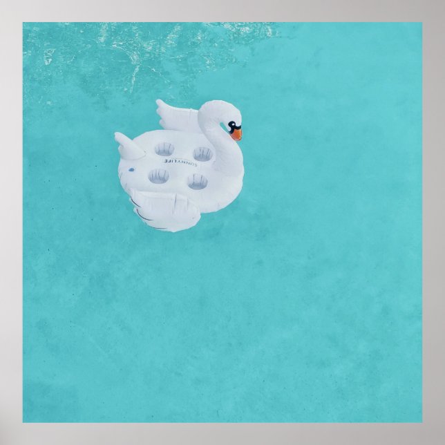 White swan inflatable on body of water poster (Front)