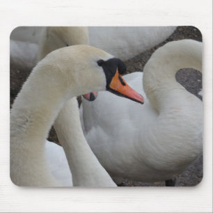 White Swan Mousepad