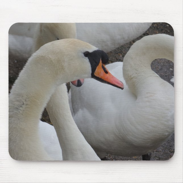 White Swan Mousepad (Front)