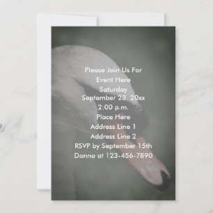White Swan Nature  Invitation