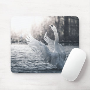 White Swan Nature Photograph Mouse Mat