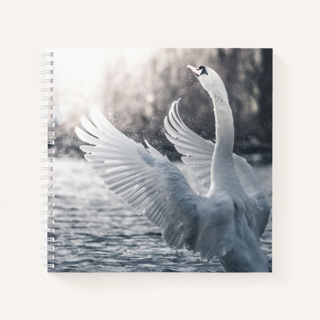 White Swan Nature Photograph Notebook (Front)
