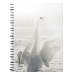 White Swan Notebook