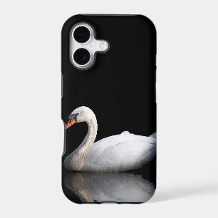White swan on black