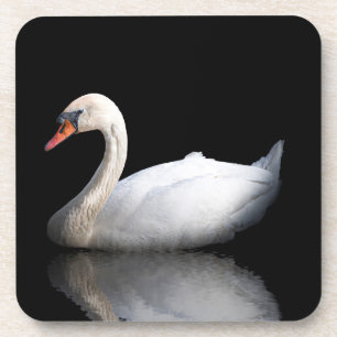 White swan on black coaster