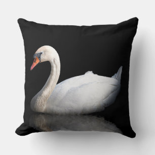 White swan on black cushion