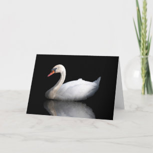 White swan on black holiday card