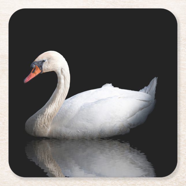 White swan on black square paper coaster (Front)