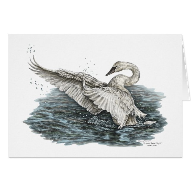 White Swan on Water (Front Horizontal)