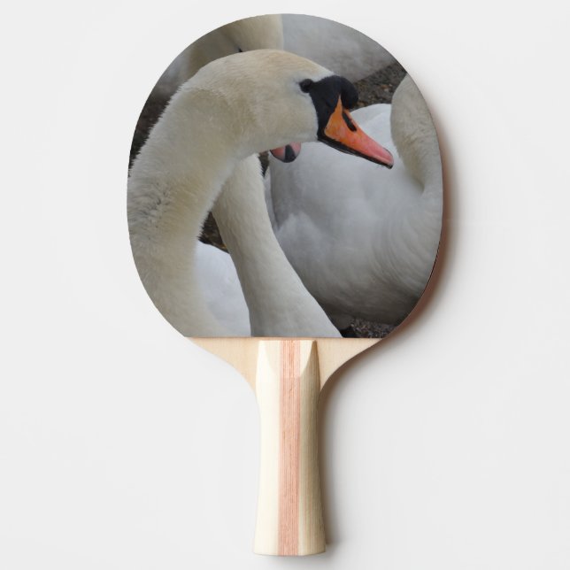 White Swan Ping Pong Paddle, Red Rubber Back Ping Pong Paddle (Front)