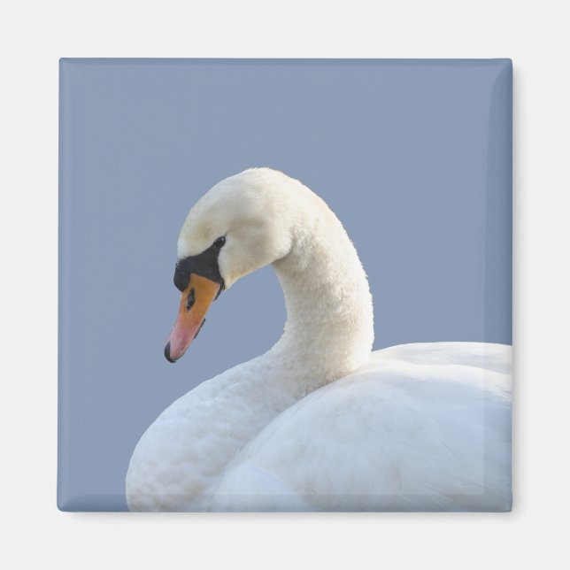 White Swan Refrigerator Magnet (Front)