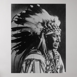 White Swan Sioux Chief Native American Poster