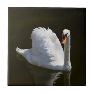 White swan tile