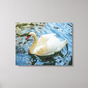 White swan view canvas print